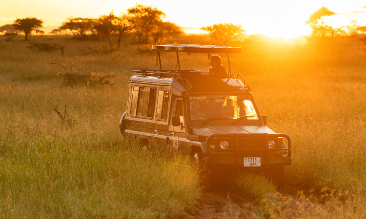 Couché de soleil, safari Tanzanie,Afrique