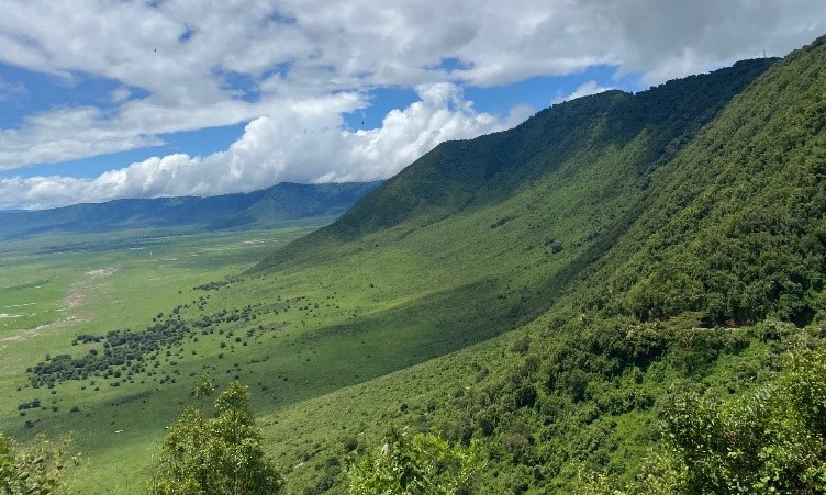 Cratère du Ngorongoro, Tanzanie, Afrique,Safari