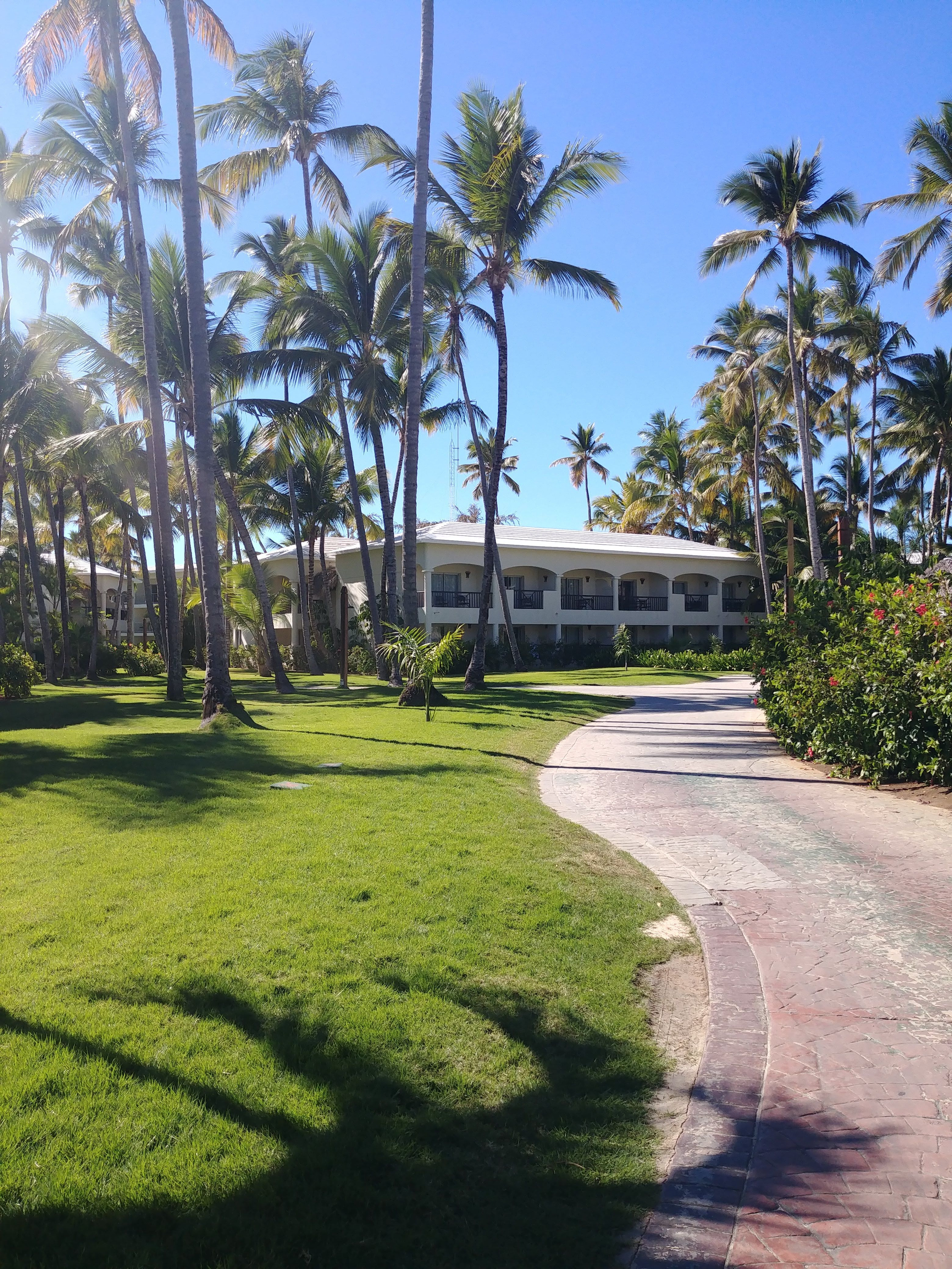 Végétation Impressive And Spa Punta Cana