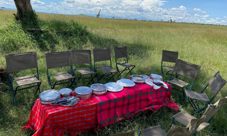 Repas dans le parc de Masai Mara, Afrique, Kenya, Tanzanie